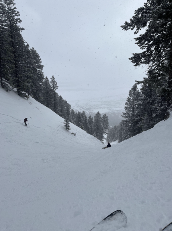 Two people from the local ski and snowboard club are skiing and snowboarding down a snow-covered mountain slope lined with tall pine trees on a cloudy day.